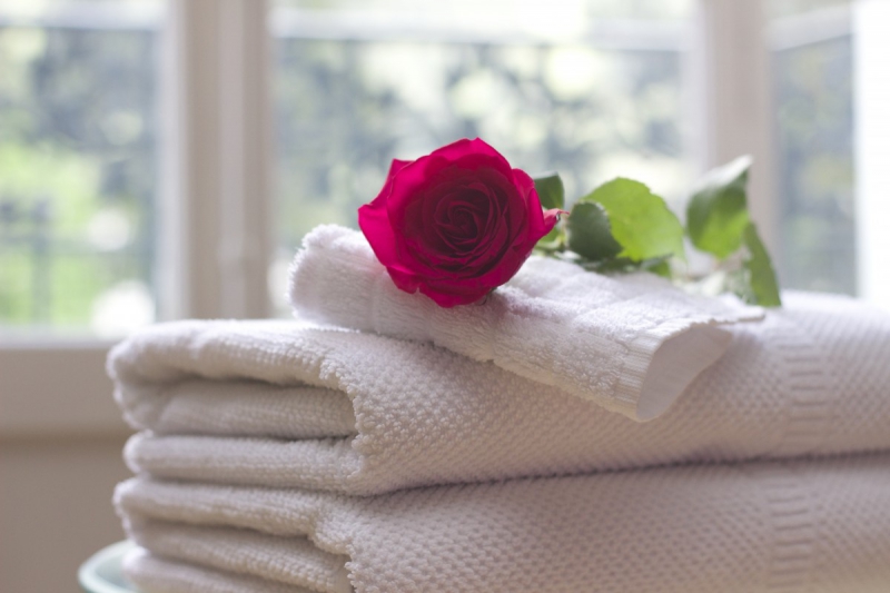 hotel-TOURRETTES SUR LOUP-min_towel_rose_clean_care_salon_spa_white_bath-731641